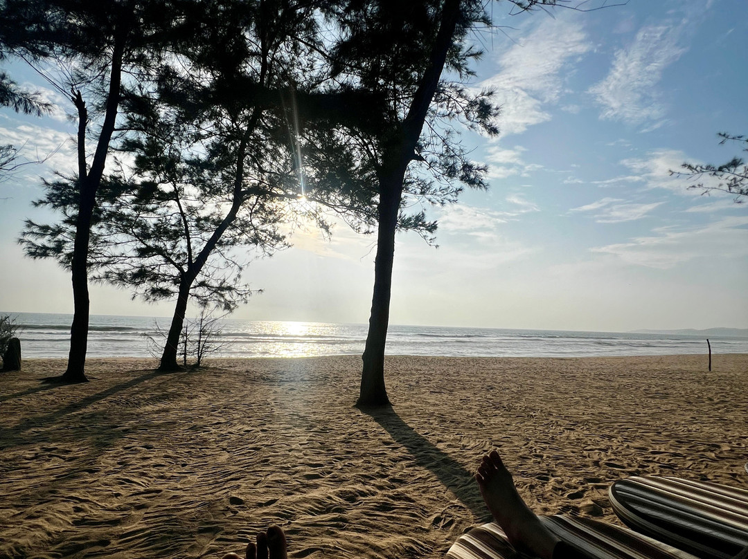Denissons Beach Resort主图