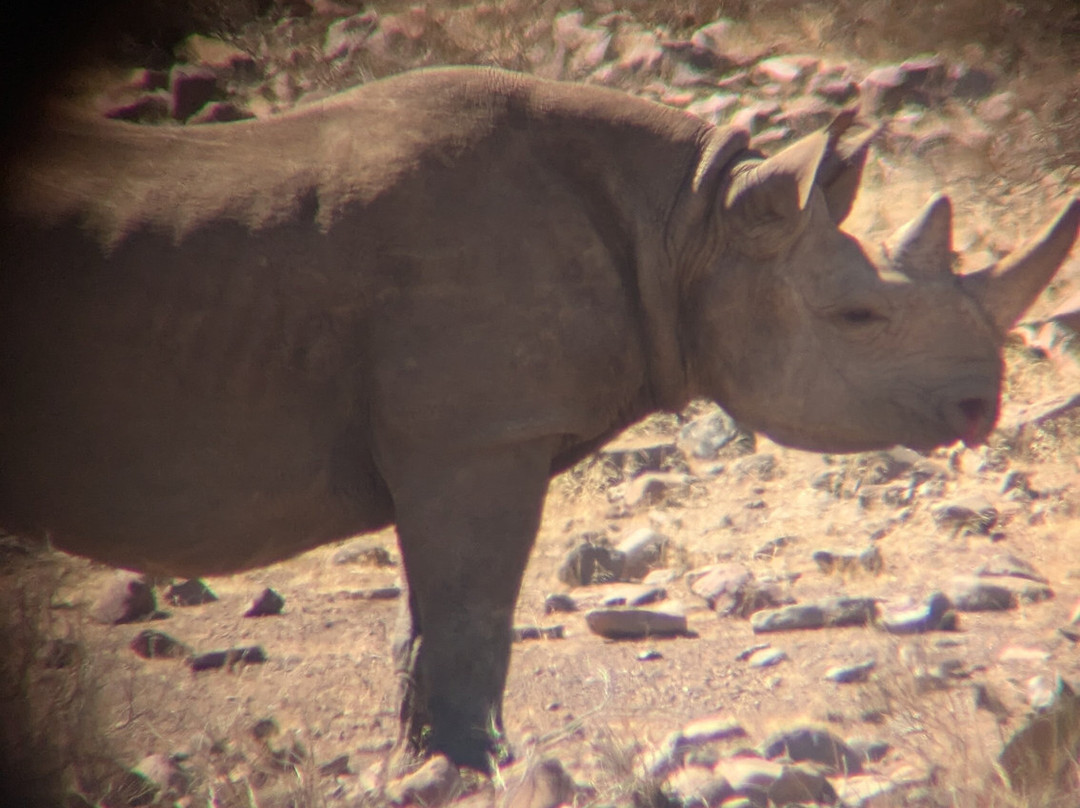 Twyfelfontein Elephant Drives-Palmwag必去景点