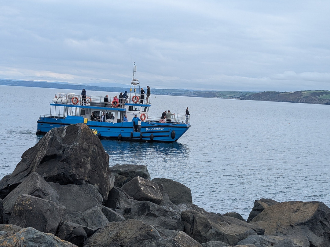 Dolphin Spotting Boat Trips (by New Quay Boat Trips)-纽基必去景点