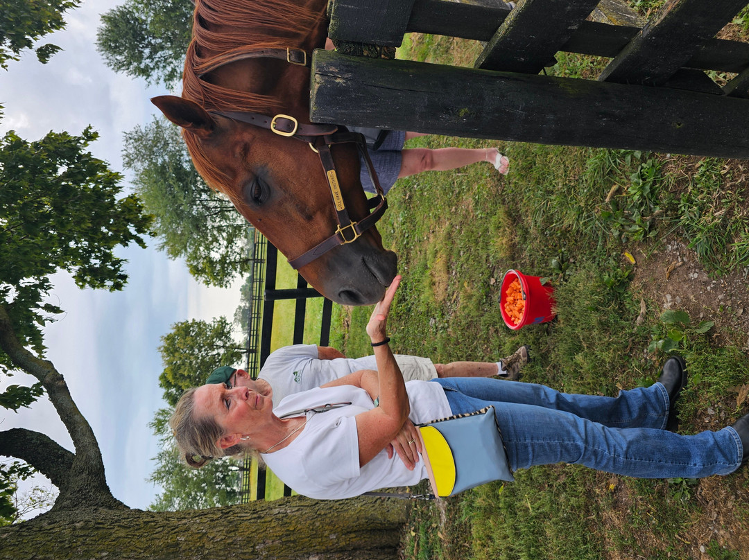 Old Friends at Dream Chase Farm-Georgetown必去景点