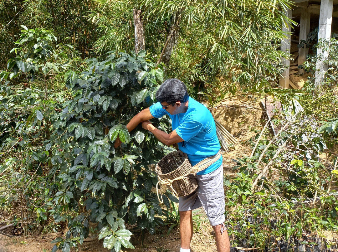 Private Land Tours Huatulco-瓦图尔科必去景点