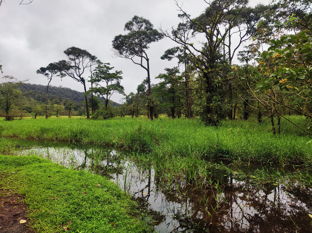 Tapir Valley Nature Reserve-Bijagua de Upala必去景点