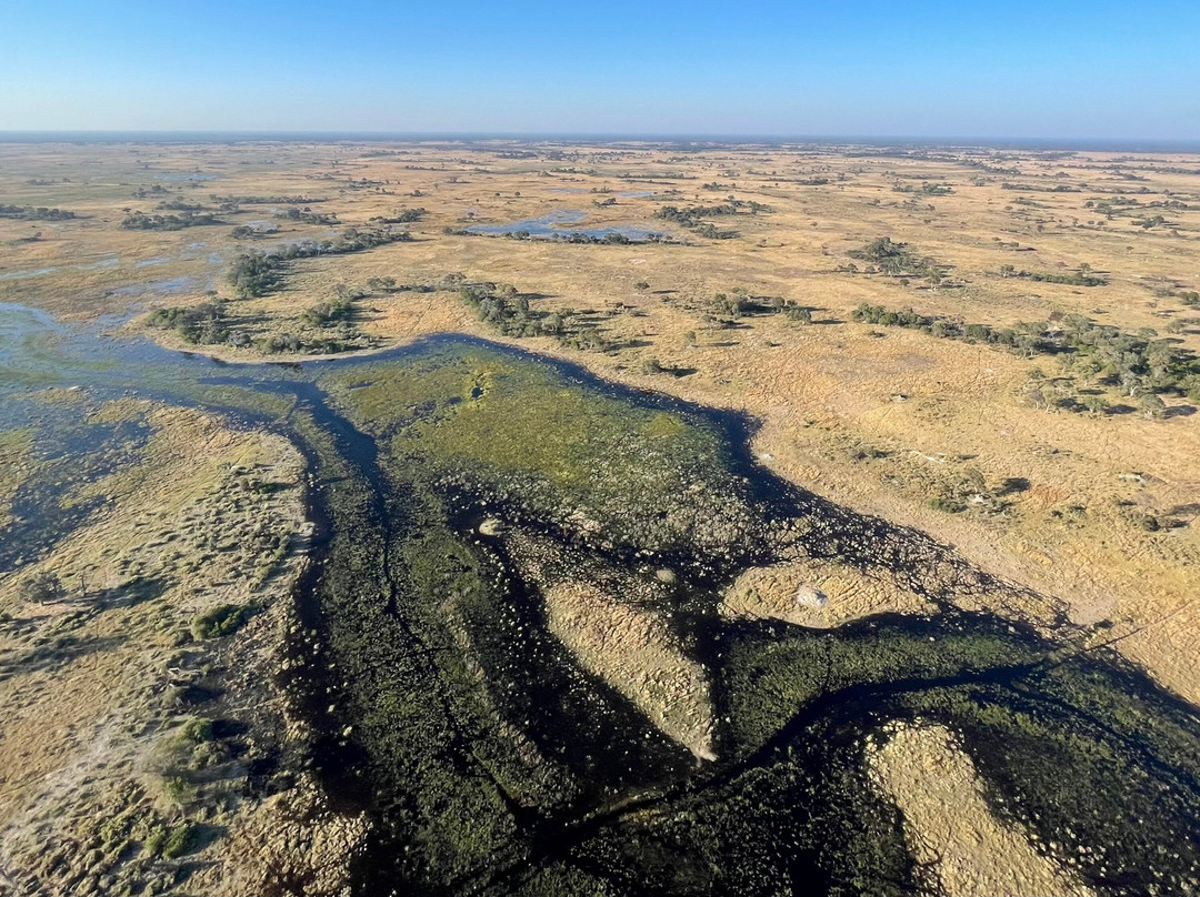 Okavango Delta-马翁必去景点