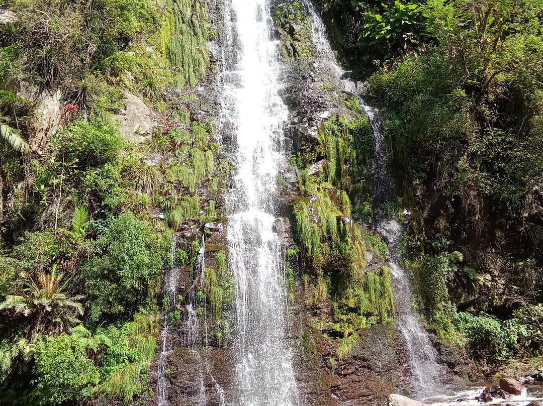 Trilha Do Rio Do Boi-Praia Grande必去景点