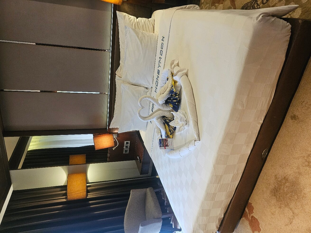 婆罗洲班格尔马辛瑞士贝尔酒店主图