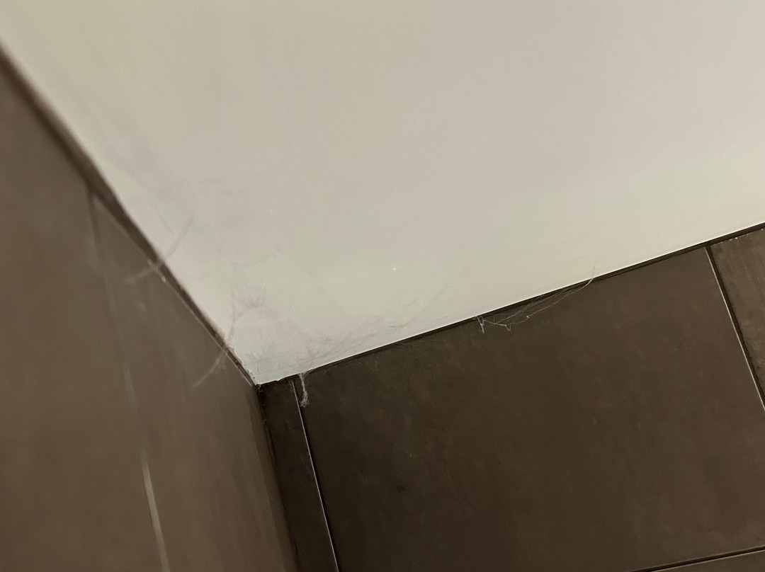 马斯顿草地酒店主图