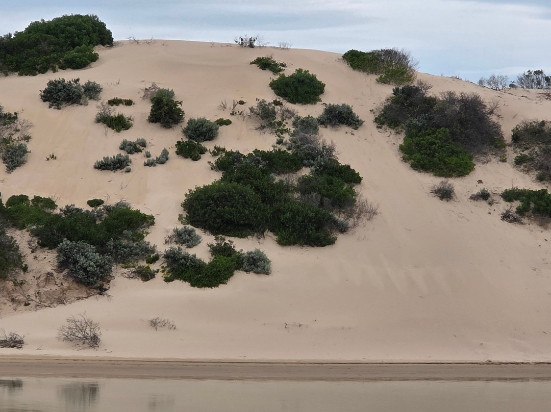 Spirit of the Coorong Cruises-Goolwa必去景点