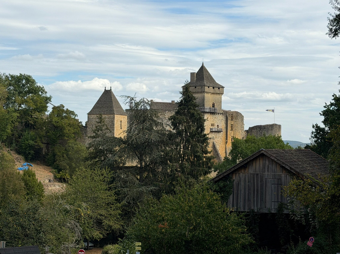 Château de Castelnaud-Castelnaud-la-Chapelle必去景点