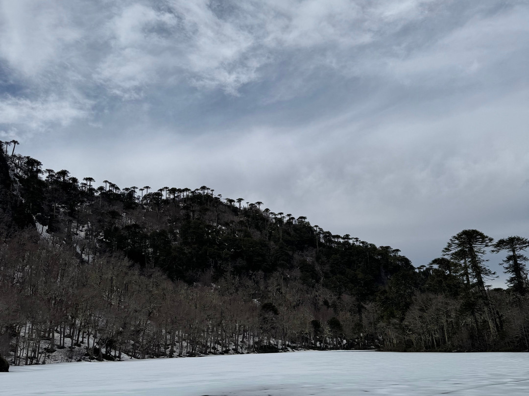 Santuario el Cañi-普孔必去景点