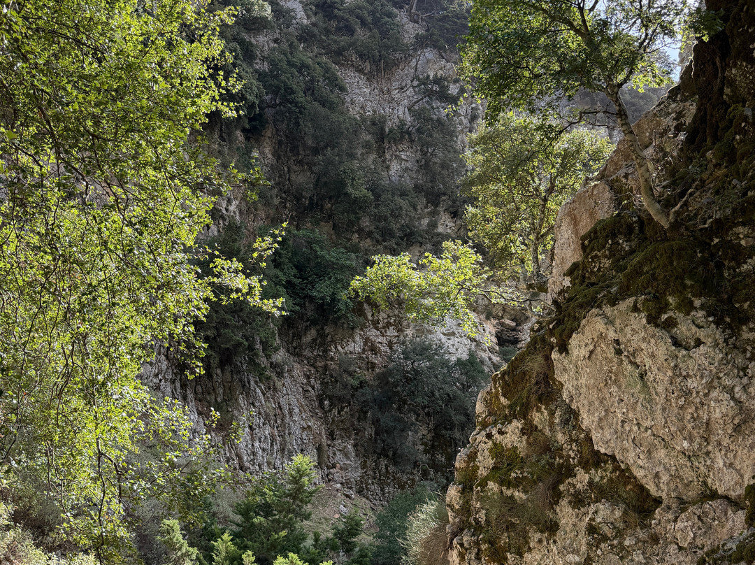 Imbros Gorge-Hora Sfakion必去景点