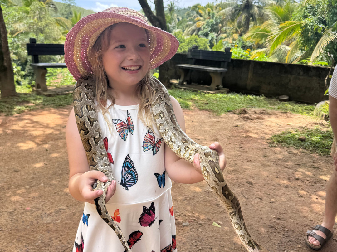 Snake Farm Weligama (Traditional Farm)-瓦勒迦玛必去景点