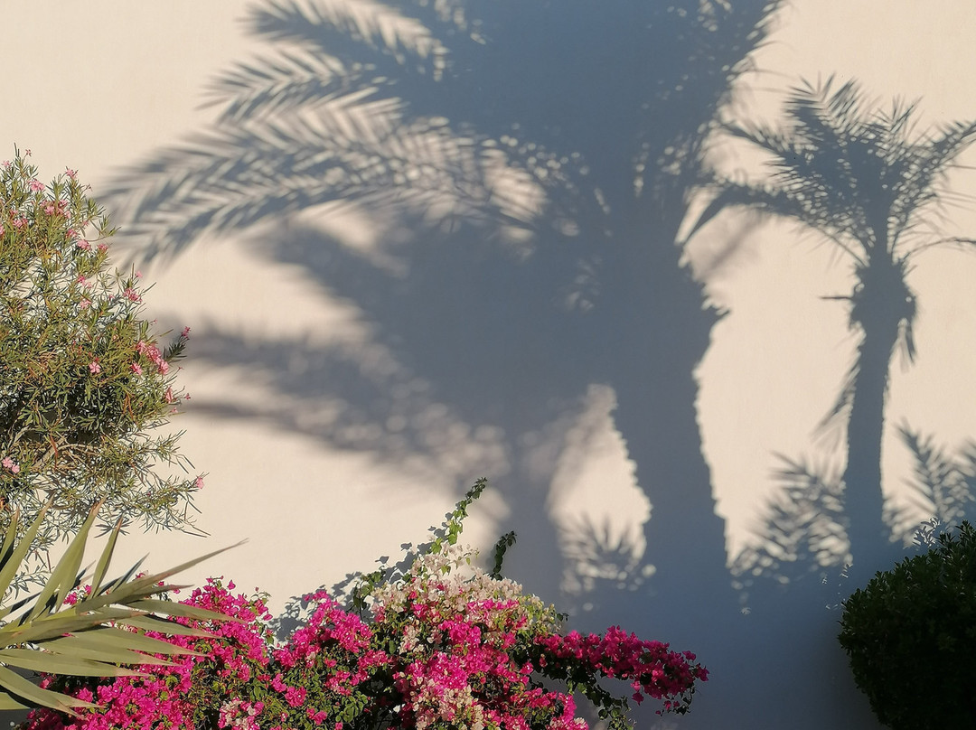 Seabel Rym Beach Djerba主图