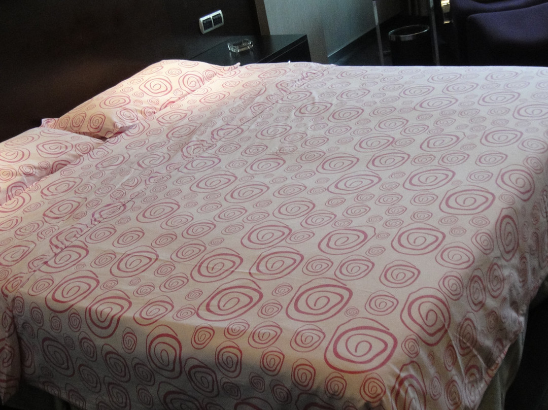 胜家玫瑰酒店主图