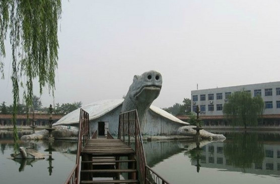东方巨龟苑景点图片