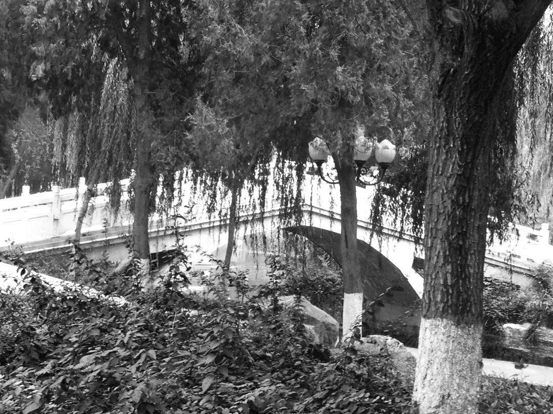 抱犊寨红色旅游区-栾川县必去景点