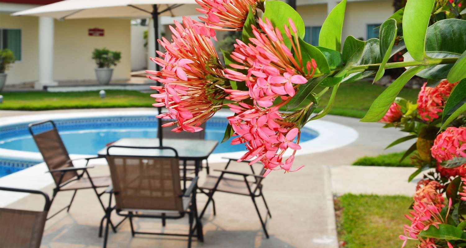Hotel Tuxtepec-官方