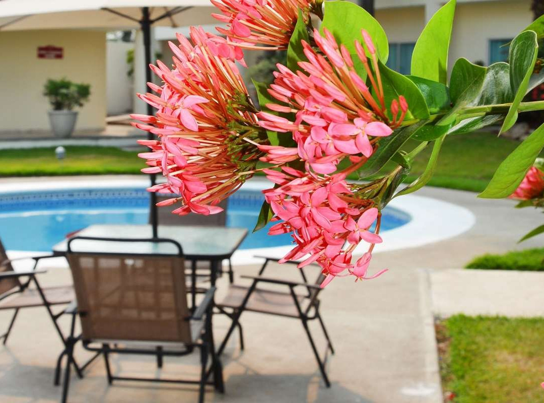 Days Inn by Wyndham Tuxtepec主图