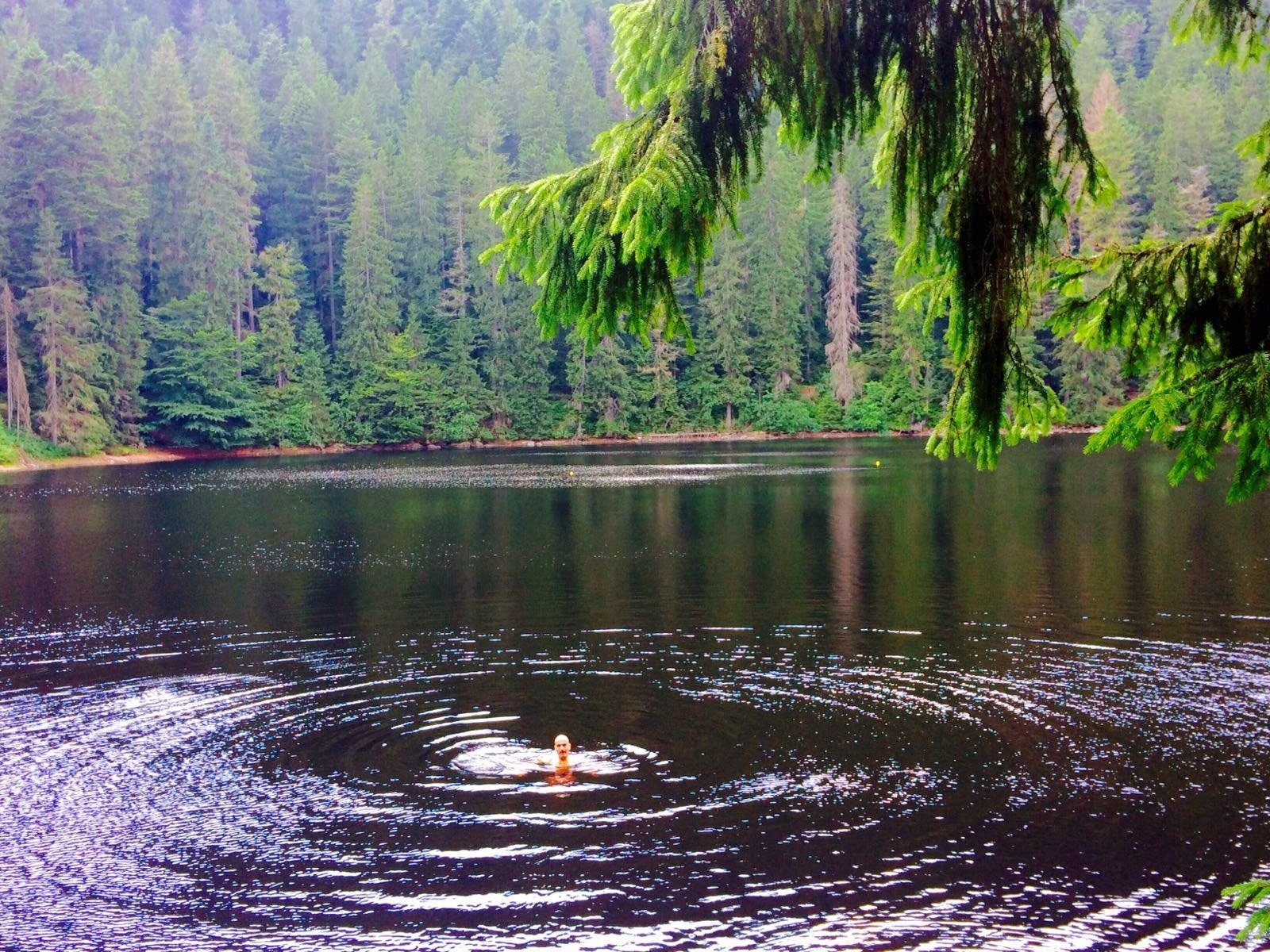 Martinhansenhof-泳池