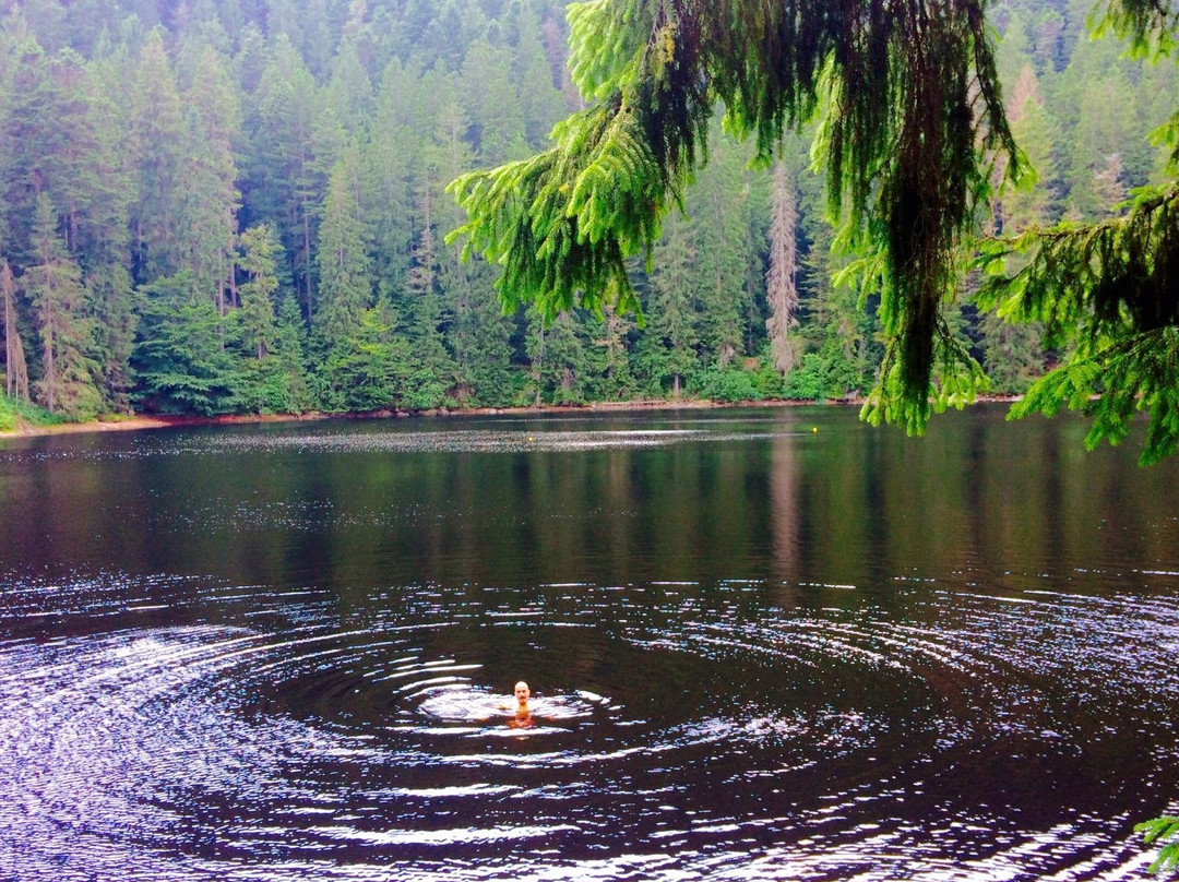 Oberwolfach酒店住宿-Martinhansenhof