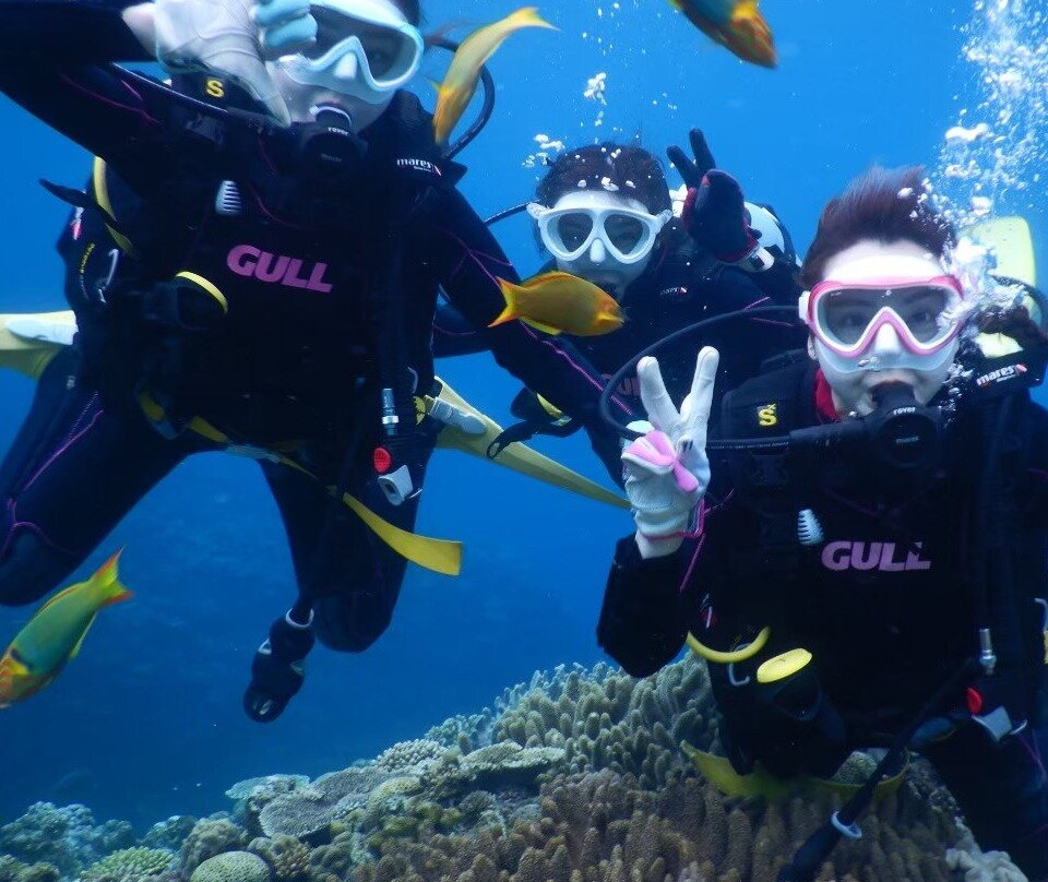 TEERA SCUBA VENTURES, OKINAWA-名护市必去景点
