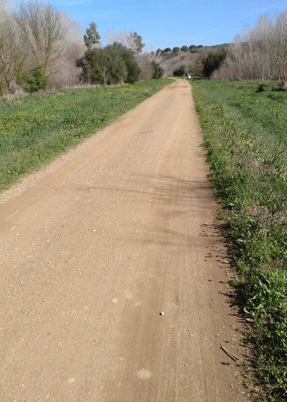 Corredor Verde Del Río Guadiamar景点图片