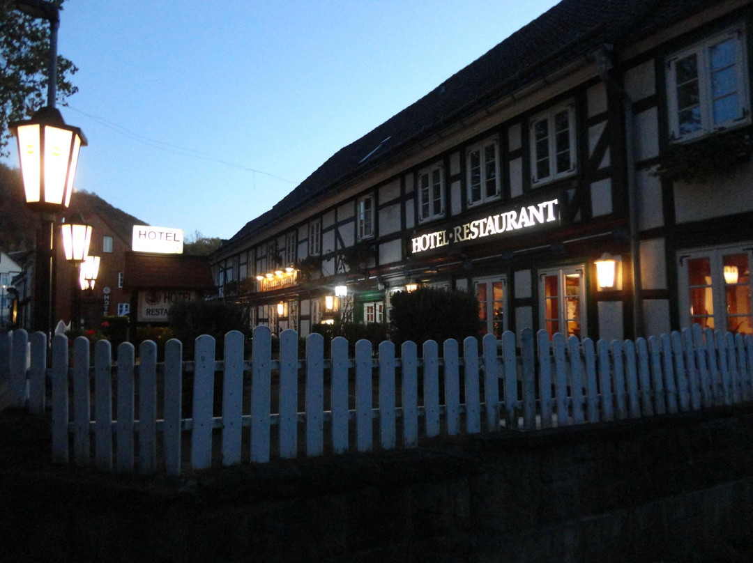Hotel Brauner Hirsch