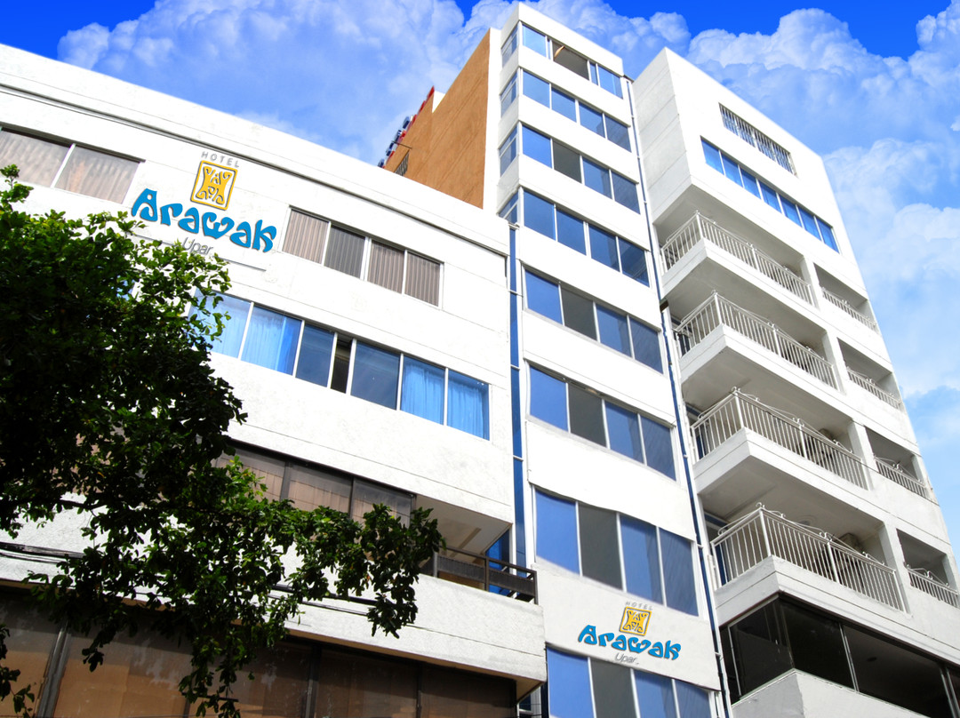 San Juan del Cesar酒店住宿-Hotel Arawak Upar