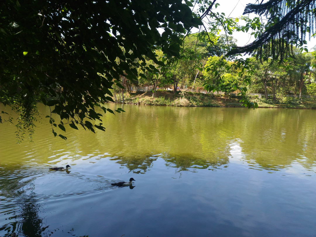 Parque Municipal Novo Horizonte景点图片