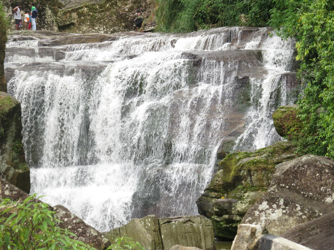 South Lanka Tours - Day Tours-科伦坡必去景点