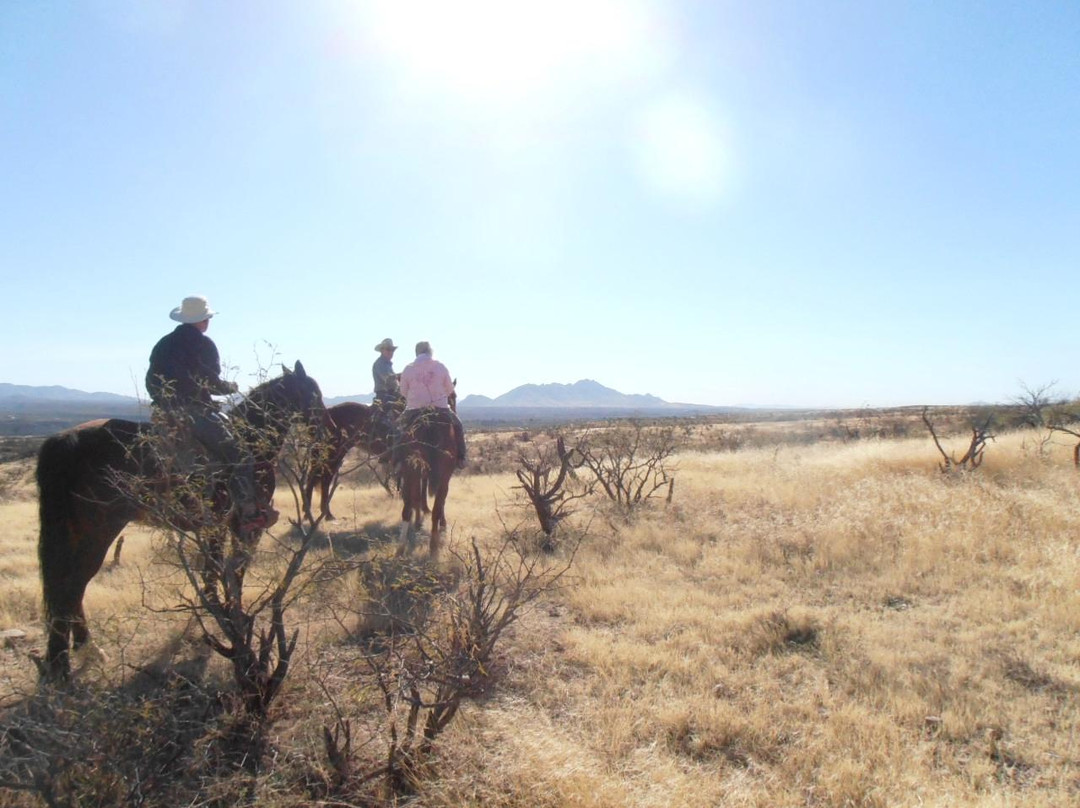 Henson Stables-Amado必去景点