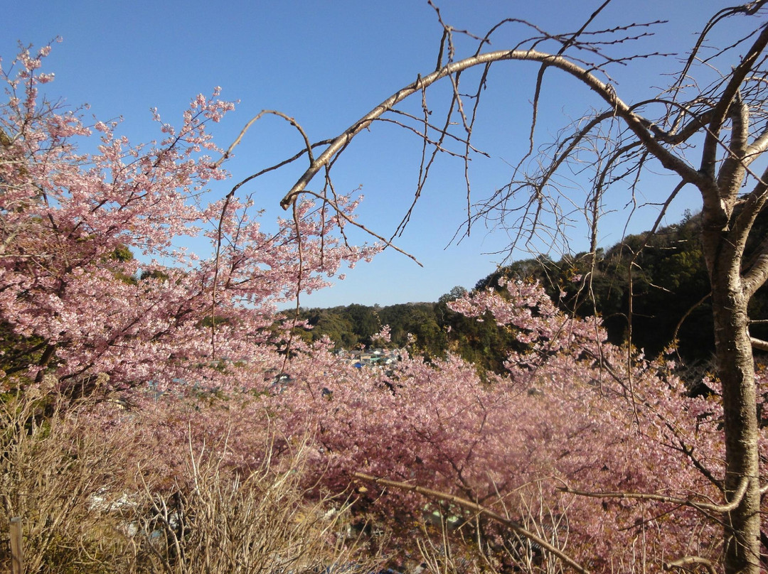 Kawamura Zuiken Park景点图片