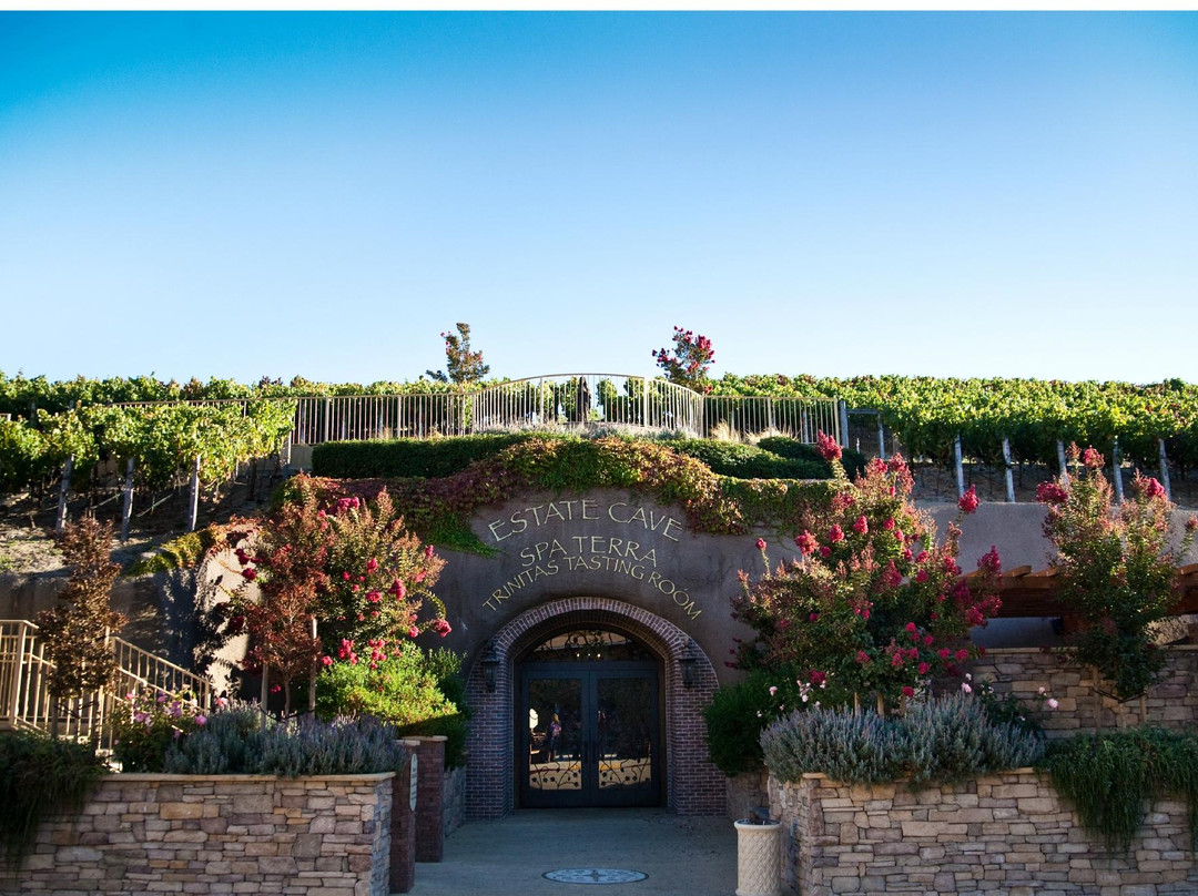 Trinitas Cellars-纳帕必去景点