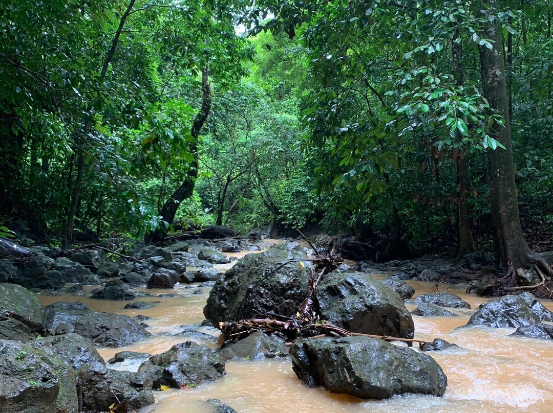 Las Piñas–Parañaque Critical Habitat and Ecotourism Area-拉斯皮纳斯市必去景点