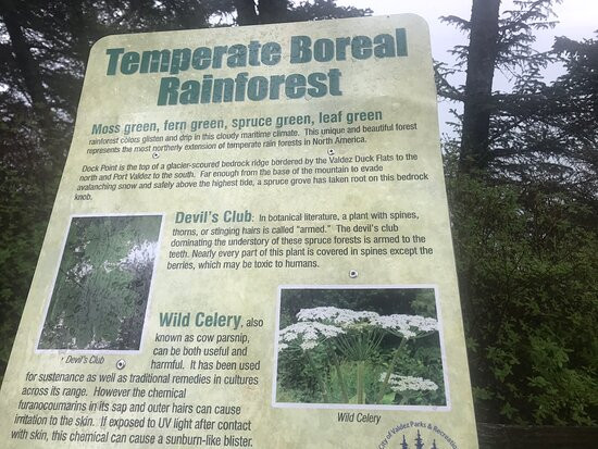 Dock Point Park & Trail-瓦尔迪兹必去景点