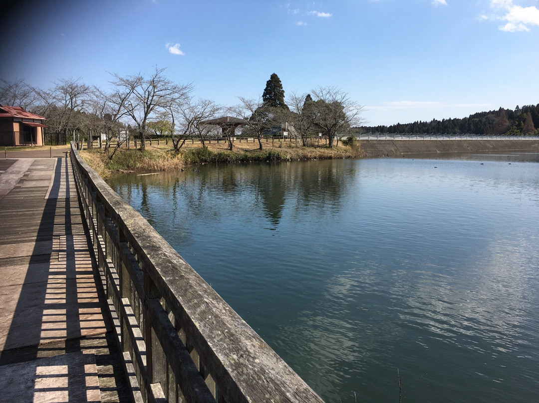 大网白里町旅游攻略图片