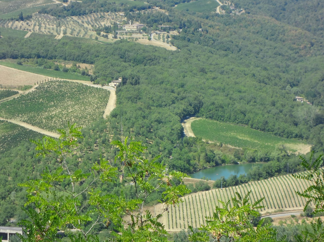 Montefioralle旅游景点-Strada Statale 222 Chiantigiana