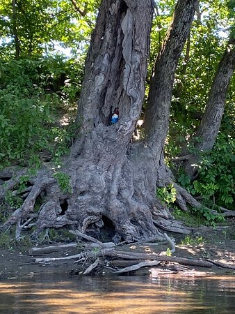 Vermont Canoe & Kayak-Jeffersonville必去景点
