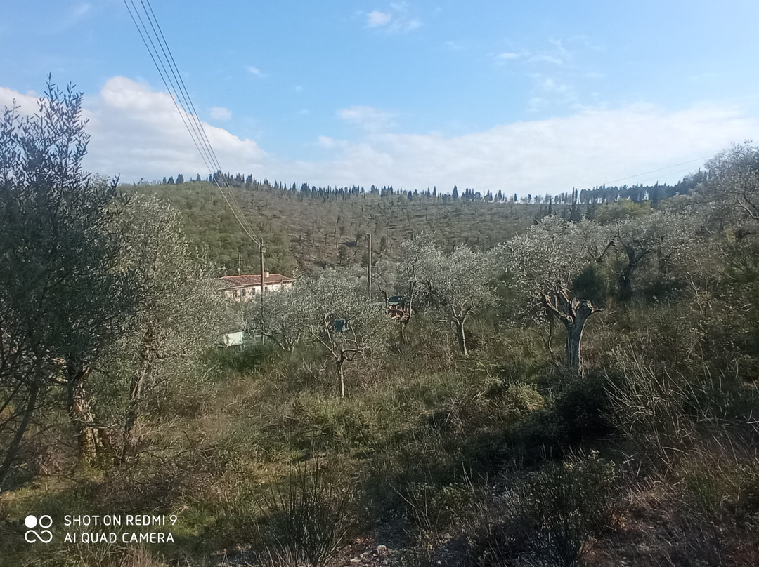 Il Seme Di Gaia
