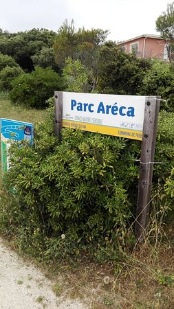 Parc Areca Jardin Botanique景点图片