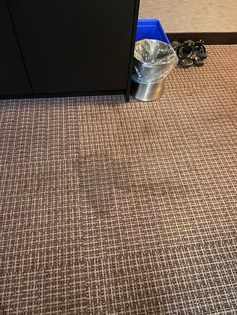 Quattro Hotel & Conference Centre主图