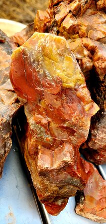 DoBell Ranch-霍尔布鲁克必去景点