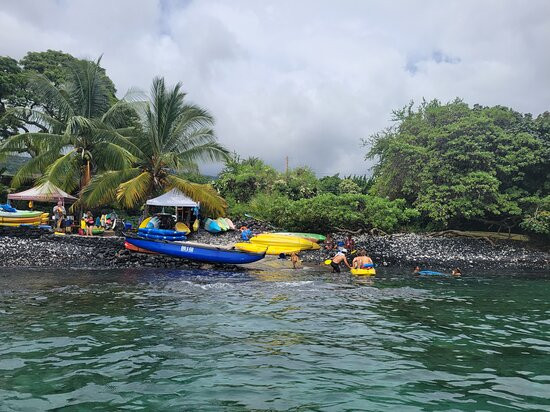 Kona Kayaks-库克船长必去景点
