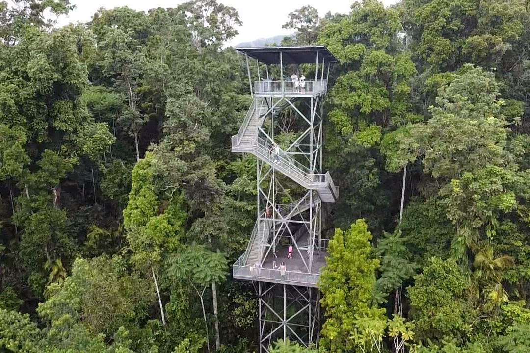 Mamu Tropical Skywalk-因尼斯费尔必去景点