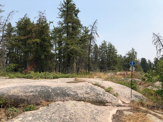 Blueberry Hill Trail景点图片