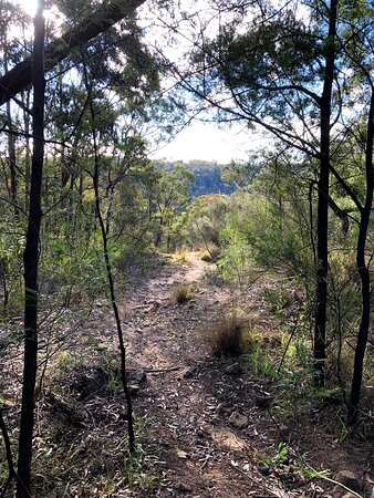 Warrimoo Lookout-Warrimoo必去景点