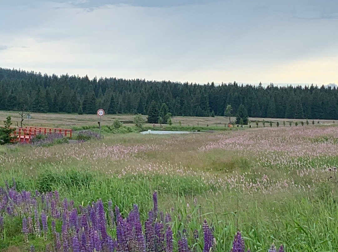Boží Dar Peat Bog Trail景点图片