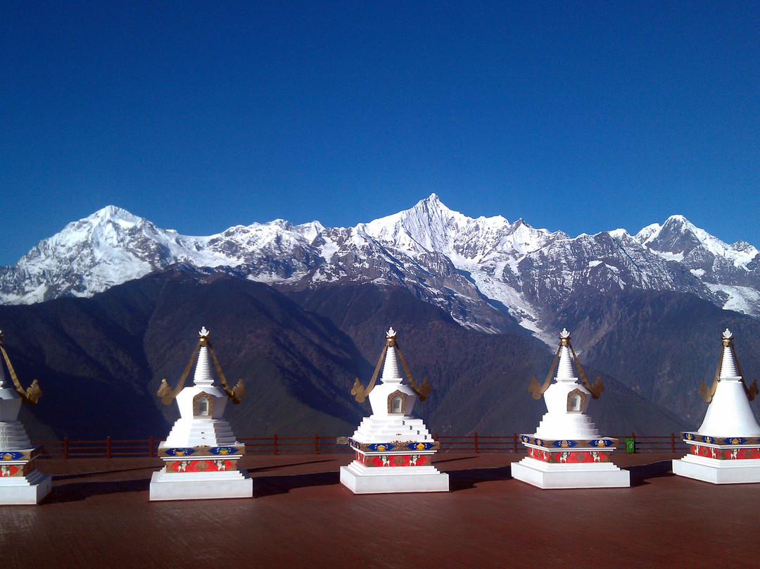 The Moose Is Inn主图