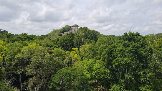 Reserva de la Biosfera de Calakmul-卡拉克穆尔必去景点