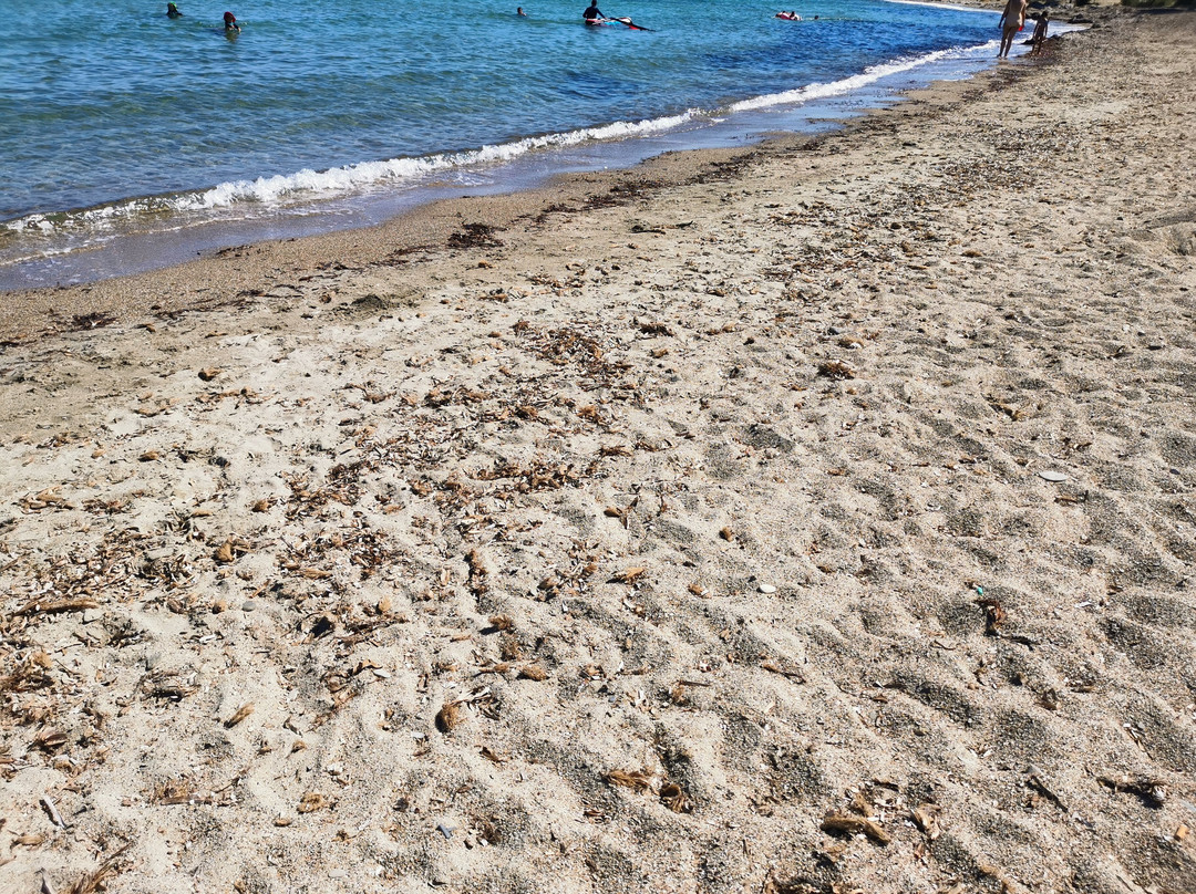 Beach Bar Agios Stefanos景点图片