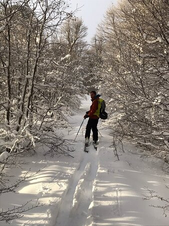 APEX Backcountry Guides-Malalcahuello必去景点